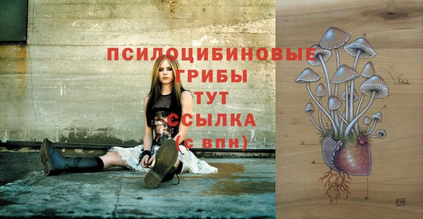 спиды Балахна