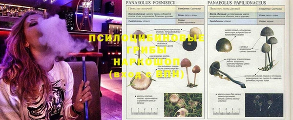 кокс Балабаново