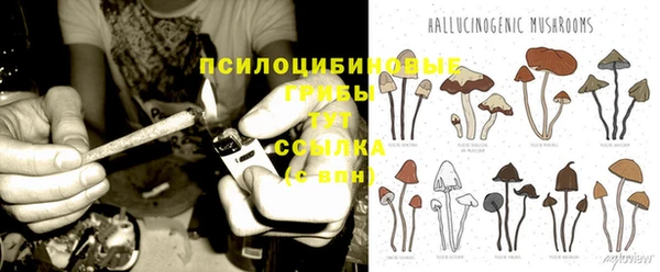 спиды Балахна